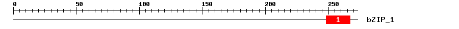 Signature Domain