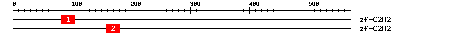 Signature Domain