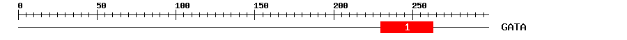 Signature Domain