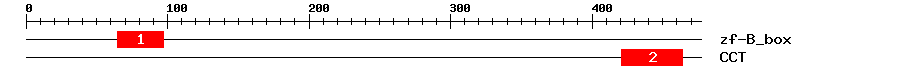 Signature Domain