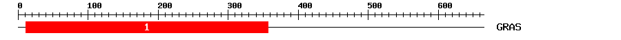 Signature Domain