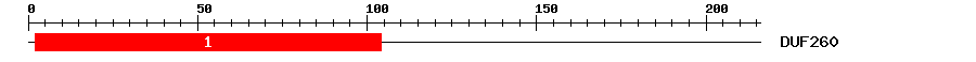 Signature Domain