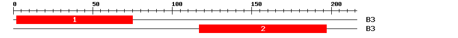 Signature Domain
