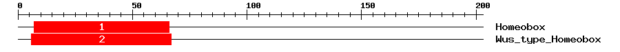 Signature Domain