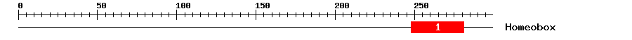 Signature Domain