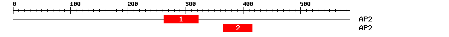 Signature Domain