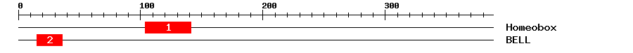 Signature Domain