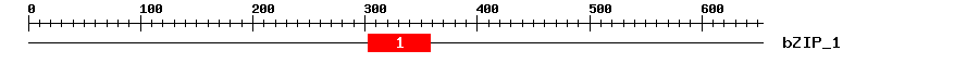 Signature Domain