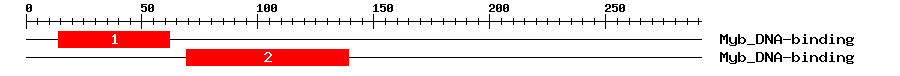 Signature Domain