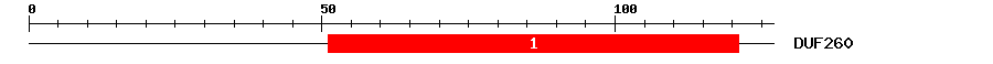 Signature Domain