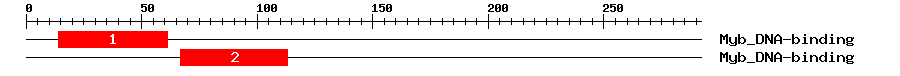 Signature Domain
