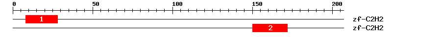 Signature Domain