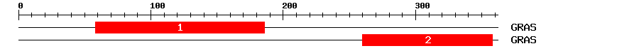 Signature Domain
