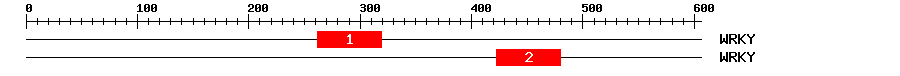 Signature Domain
