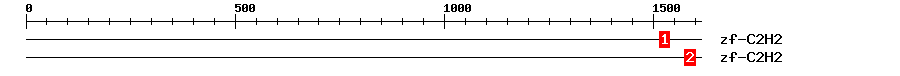 Signature Domain