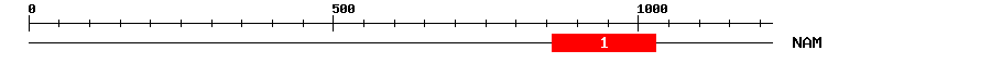 Signature Domain
