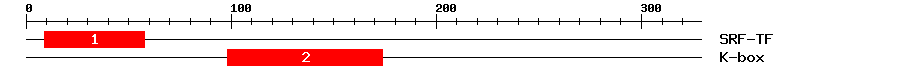 Signature Domain