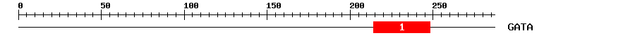 Signature Domain