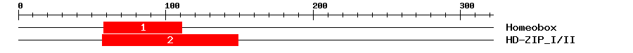Signature Domain