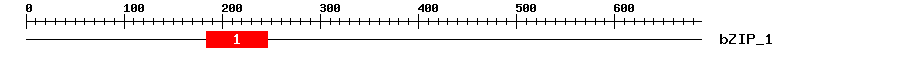 Signature Domain