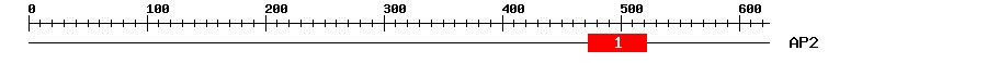 Signature Domain