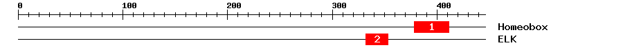 Signature Domain