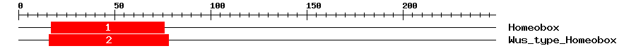 Signature Domain