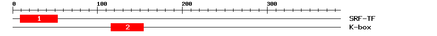 Signature Domain