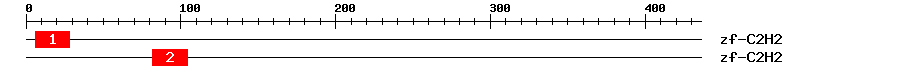 Signature Domain