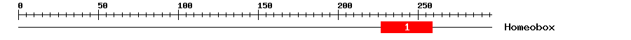 Signature Domain
