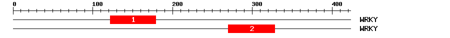 Signature Domain