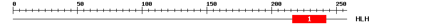 Signature Domain