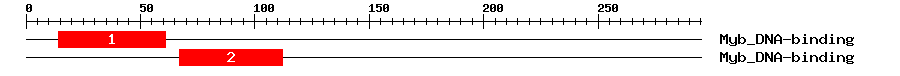 Signature Domain