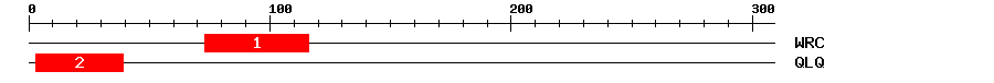 Signature Domain