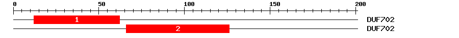 Signature Domain
