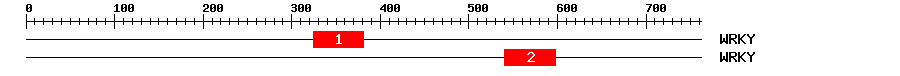 Signature Domain
