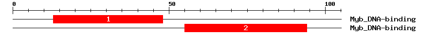 Signature Domain