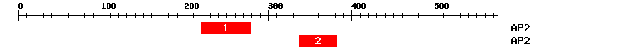 Signature Domain