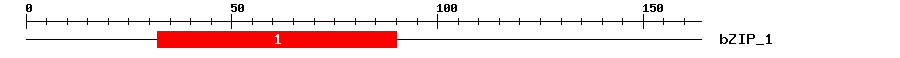 Signature Domain