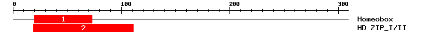 Signature Domain