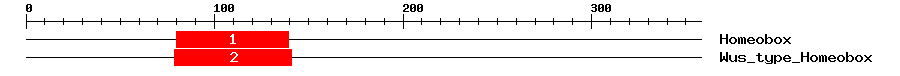 Signature Domain