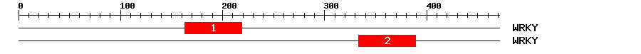 Signature Domain