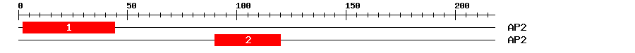 Signature Domain