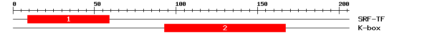 Signature Domain
