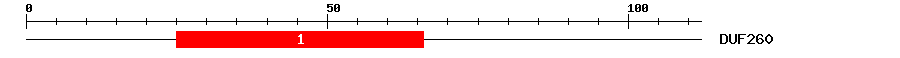 Signature Domain