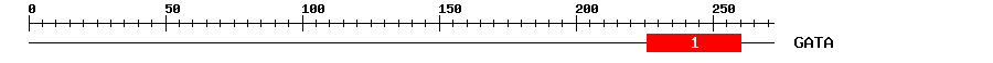 Signature Domain