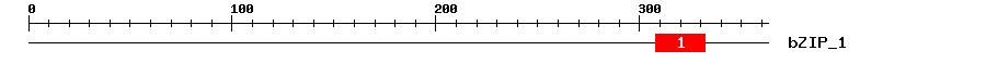 Signature Domain