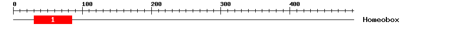 Signature Domain