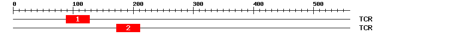 Signature Domain