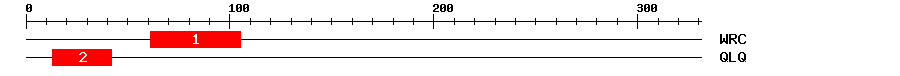 Signature Domain